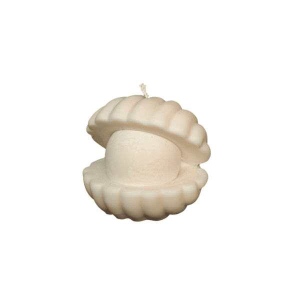 C16 – Scented soy wax candle, various options