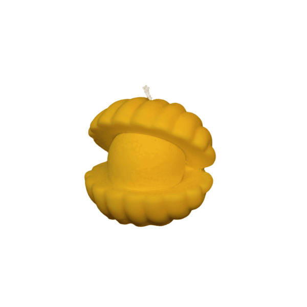 C16 – Scented soy wax candle, various options - Image 3