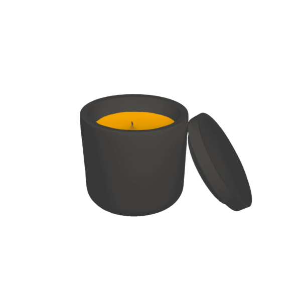 K20B – Scented soy wax candle in plaster container, various options - Image 3
